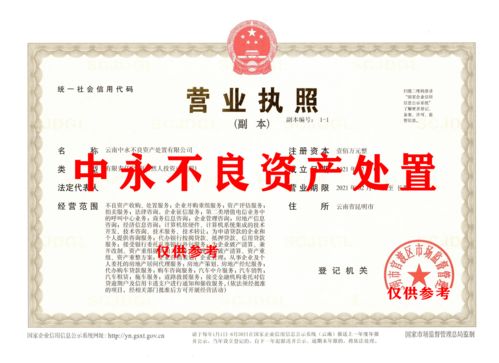 不良資產處置公司可以經營哪些項目