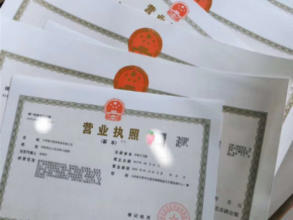 公司注冊 內(nèi)資公司注冊 領取營業(yè)執(zhí)照等 代理記賬各類資質(zhì)辦理